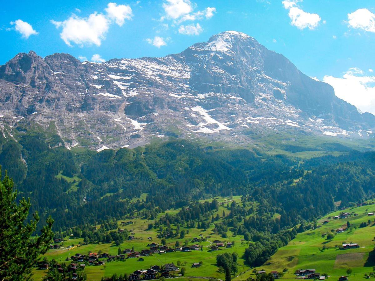 Abendrot Apartments-17 By Interhome Appartement Grindelwald