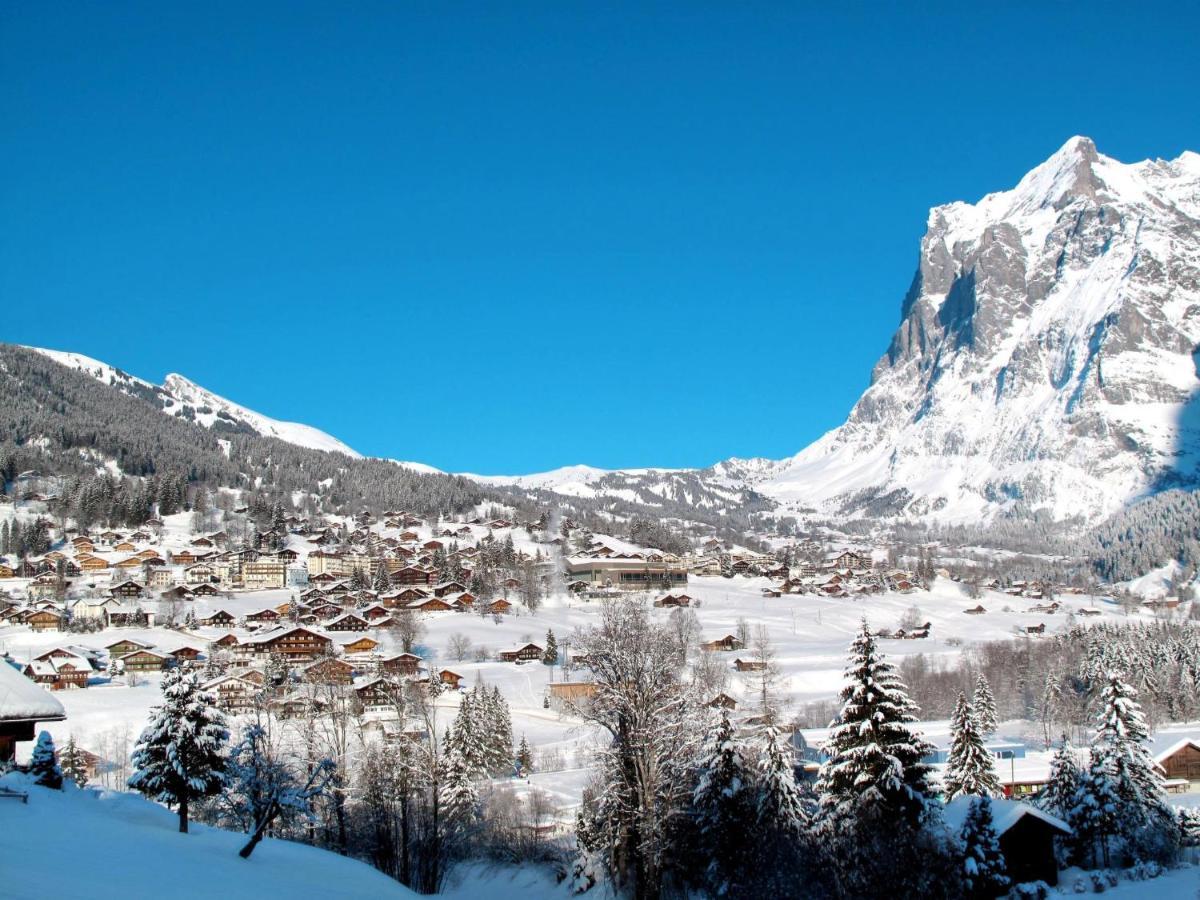 Abendrot Apartments-17 By Interhome Appartement Grindelwald